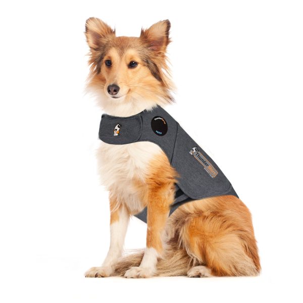 ThunderShirt® for Dogs For Sale - Image 5